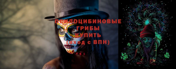 spice Алексеевка