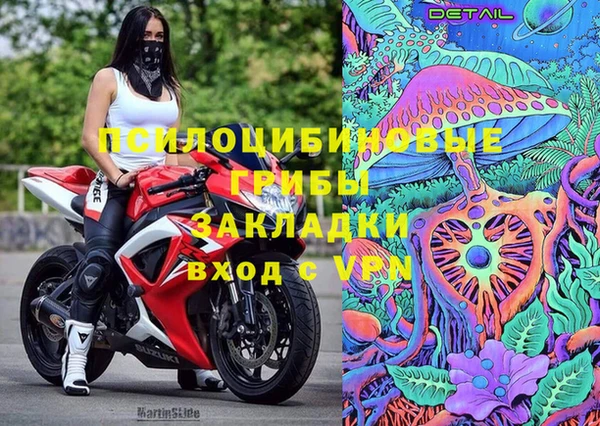 spice Алексеевка