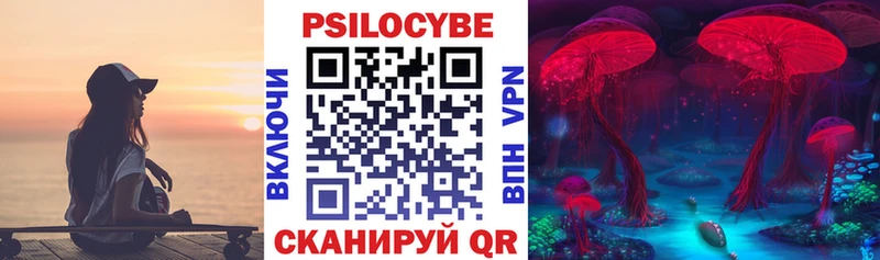 Псилоцибиновые грибы прущие грибы  купить наркотики сайты  omg ссылки  Шатура 