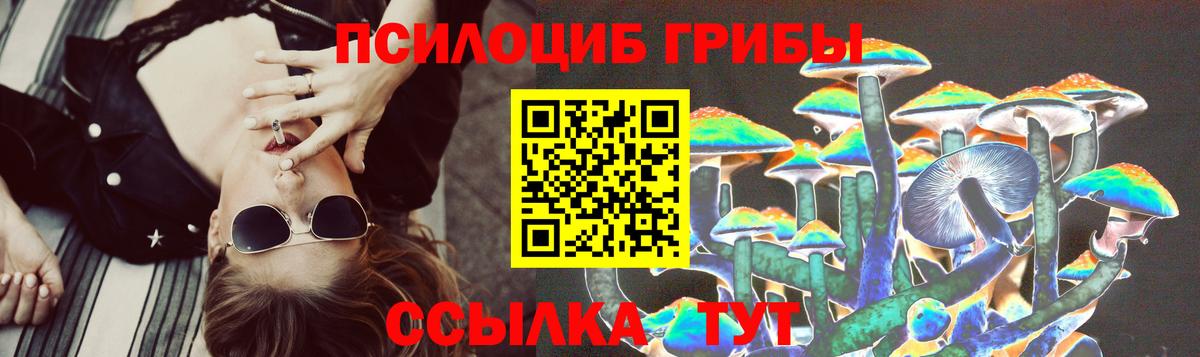 Шатура  Галлюциногенные грибы Cubensis  Псилоцибиновые грибы Psilocybine cubensis  Вход с VPN 